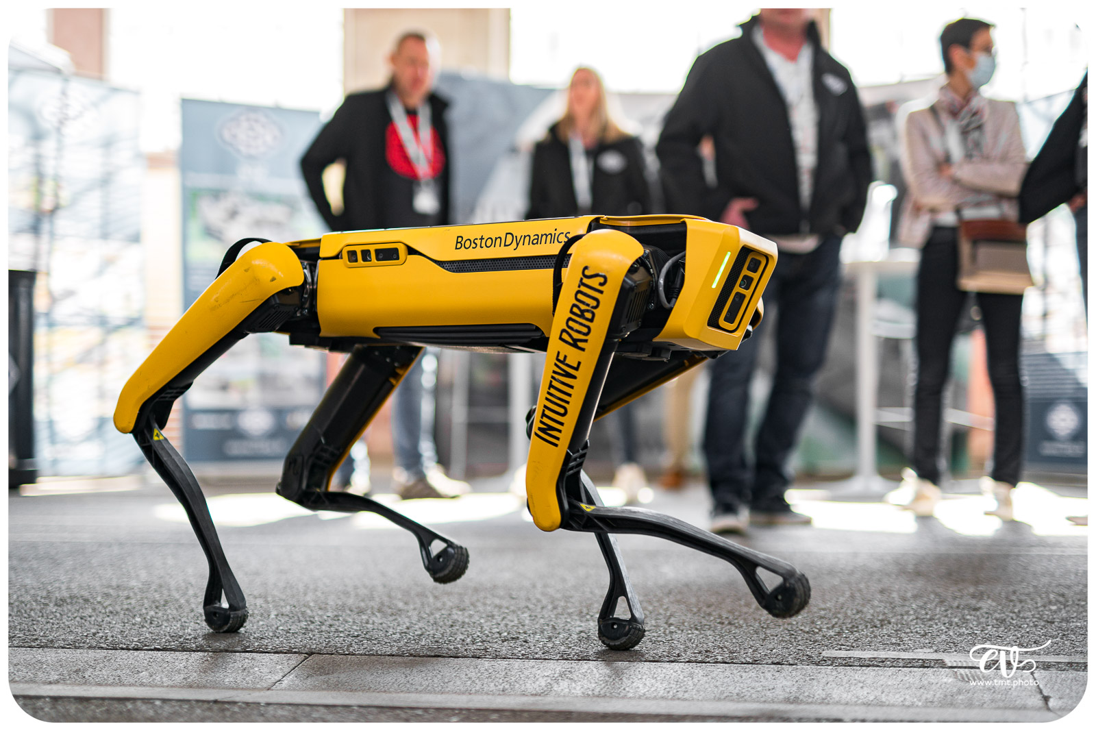 SPOT (BOSTON DYNAMICS)